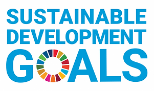 UN SDGs